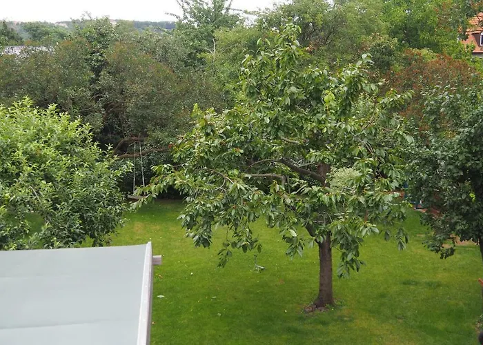 Uferlos * 拉德博伊尔